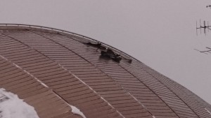 水夢館の屋根