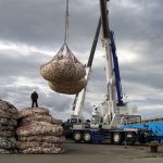 今年３回目の帆立貝殻移出　カキ養殖用として広島へ