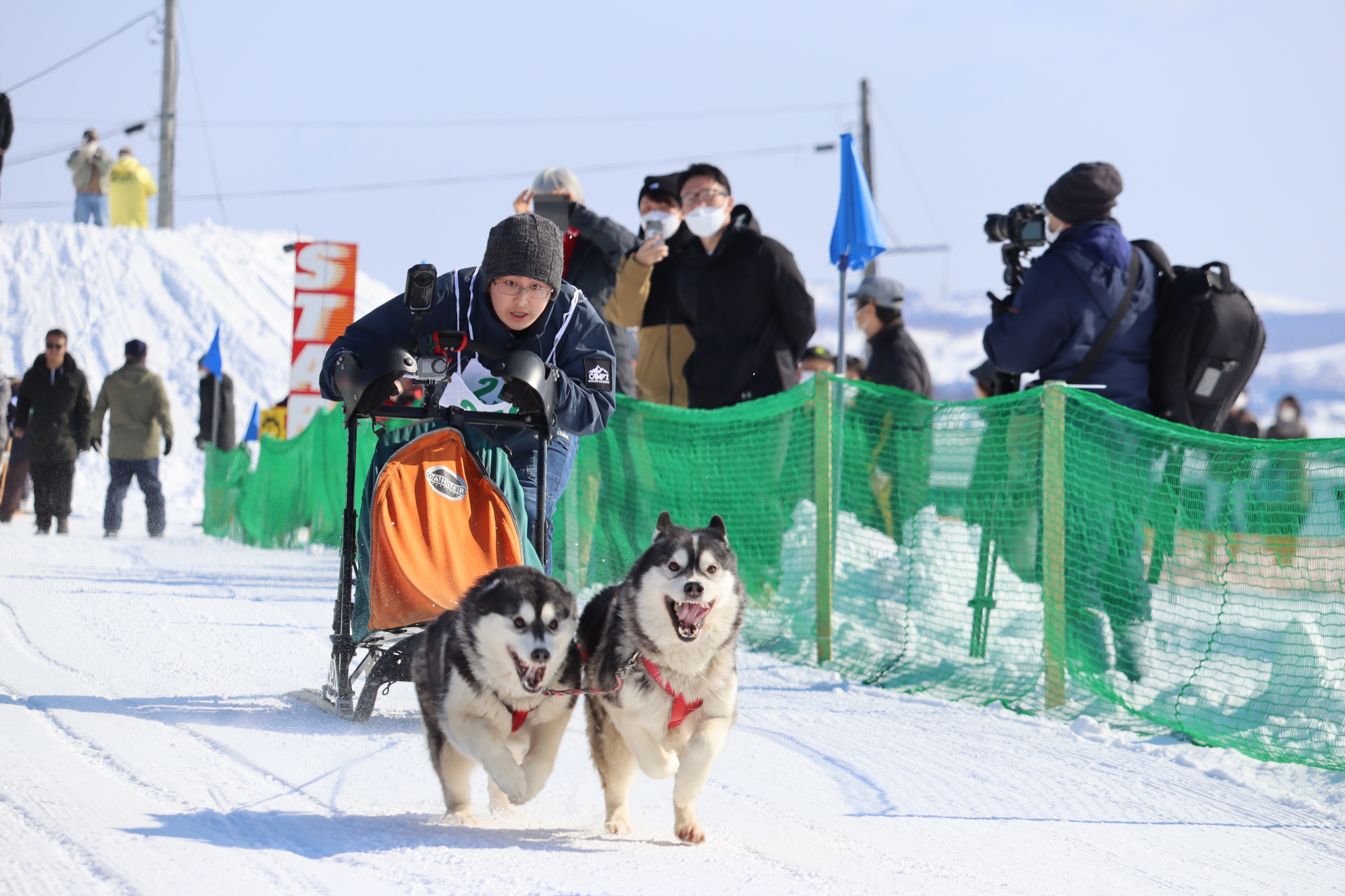 4年ぶり元祖犬ぞり大会開幕し、全国から52チームが出場 | 稚内プレス社