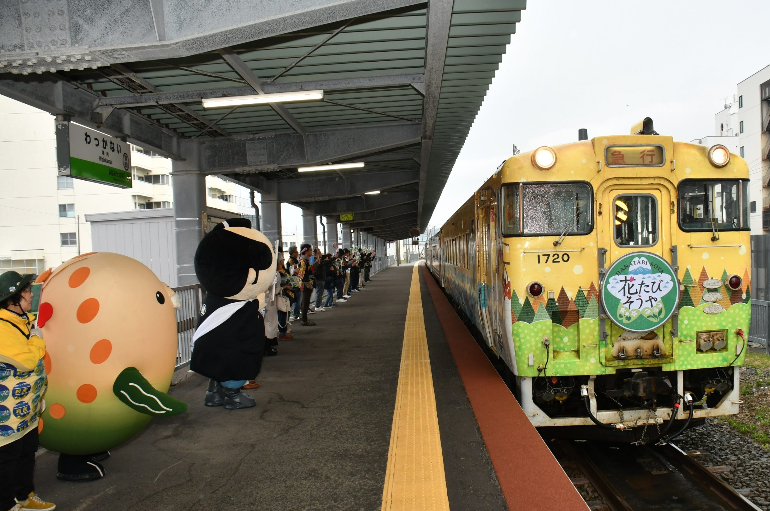 花たび そうや号運行 JR北海道 5月9日～31日までの間 | 稚内プレス社