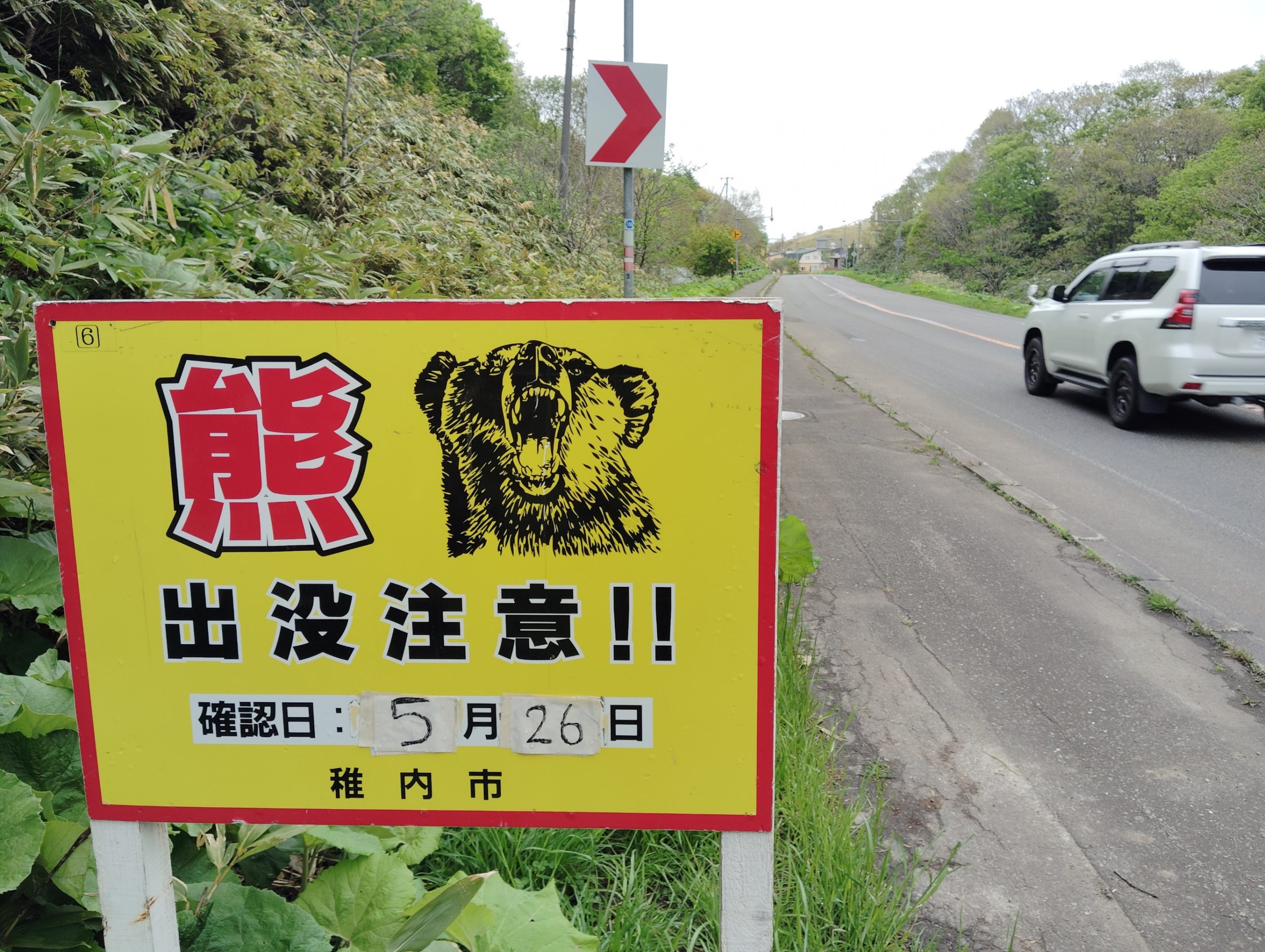 住宅地近くにクマ出没 緑6地区 足跡とフン見付かる | 稚内プレス社